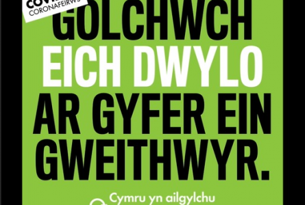 Golchwch eich dwylo/Wash your hands 